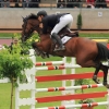 CHI Donaueschingen 2014