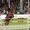 CHI Donaueschingen 2014
