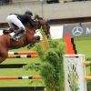 CHI Donaueschingen 2014
