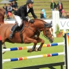 CHI Donaueschingen 2014