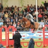 CHI Donaueschingen 2014
