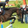CHI Donaueschingen 2014
