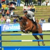CHI Donaueschingen 2014