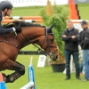 CHI Donaueschingen 2014