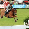 CHI Donaueschingen 2014