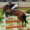 CHI Donaueschingen 2014
