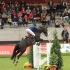 CHI Donaueschingen 2014