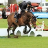 CHI Donaueschingen 2014