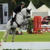 CHI Donaueschingen 2014