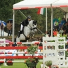 CHI Donaueschingen 2014
