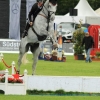 CHI Donaueschingen 2014