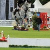 CHI Donaueschingen 2014