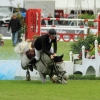 CHI Donaueschingen 2014