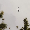 BWLV-Jugend-Airgames Übersberg