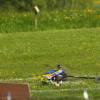6. Eierfliegen MSG Gechingen