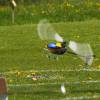 6. Eierfliegen MSG Gechingen