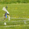 6. Eierfliegen MSG Gechingen
