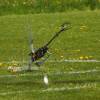 6. Eierfliegen MSG Gechingen