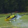 6. Eierfliegen MSG Gechingen