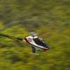 6. Eierfliegen MSG Gechingen