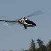 6. Eierfliegen MSG Gechingen