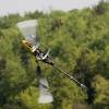 6. Eierfliegen MSG Gechingen