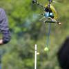 6. Eierfliegen MSG Gechingen