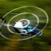 6. Eierfliegen MSG Gechingen
