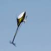 6. Eierfliegen MSG Gechingen
