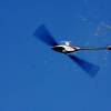 6. Eierfliegen MSG Gechingen