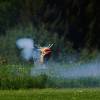 6. Eierfliegen MSG Gechingen