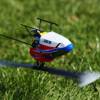 6. Eierfliegen MSG Gechingen