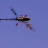 6. Eierfliegen MSG Gechingen