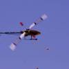 6. Eierfliegen MSG Gechingen