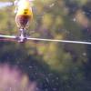 6. Eierfliegen MSG Gechingen