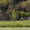 6. Eierfliegen MSG Gechingen