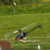 6. Eierfliegen MSG Gechingen