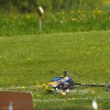 6. Eierfliegen MSG Gechingen
