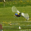 6. Eierfliegen MSG Gechingen