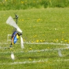 6. Eierfliegen MSG Gechingen