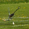 6. Eierfliegen MSG Gechingen