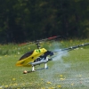 6. Eierfliegen MSG Gechingen