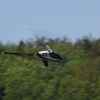 6. Eierfliegen MSG Gechingen