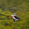 6. Eierfliegen MSG Gechingen