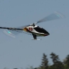 6. Eierfliegen MSG Gechingen