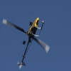 6. Eierfliegen MSG Gechingen