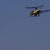6. Eierfliegen MSG Gechingen
