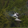 6. Eierfliegen MSG Gechingen
