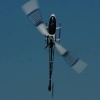 6. Eierfliegen MSG Gechingen