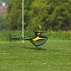6. Eierfliegen MSG Gechingen
